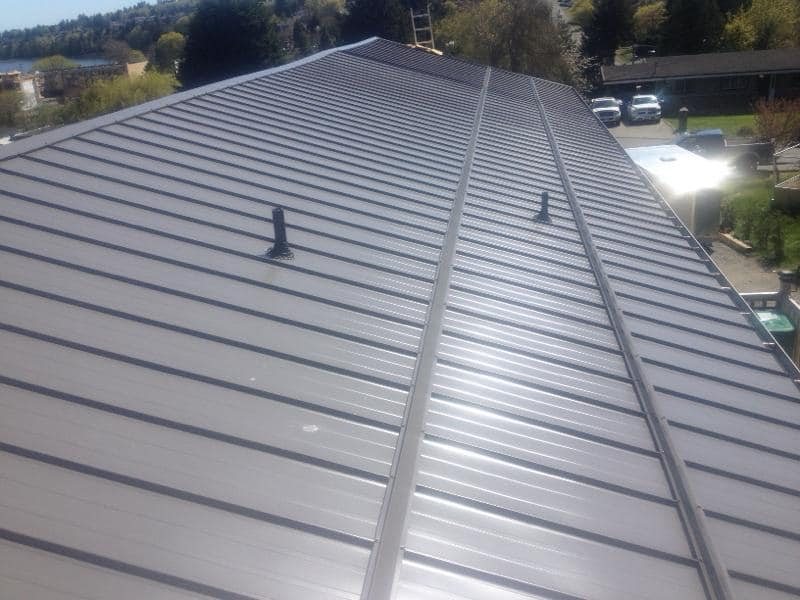 Black metal roof
