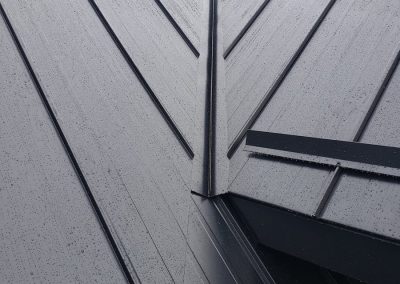 Synergy Metal Roofing project