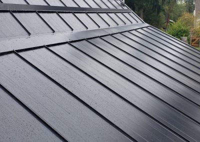 Synergy Metal Roofing project