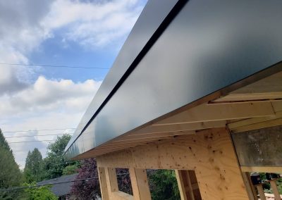 Synergy Metal Roofing project