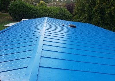 Synergy Metal Roofing project
