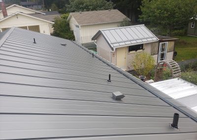 Synergy Metal Roofing project