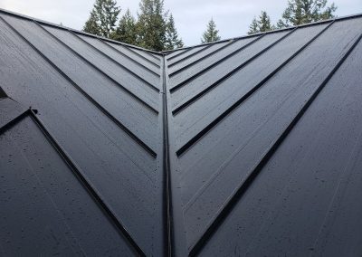 Synergy Metal Roofing project