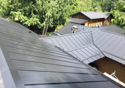 Synergy Metal Roofing project