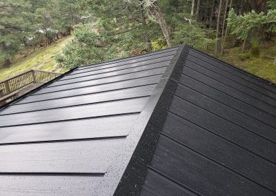 Synergy Metal Roofing project