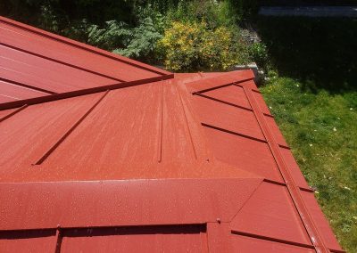 Synergy Metal Roofing project